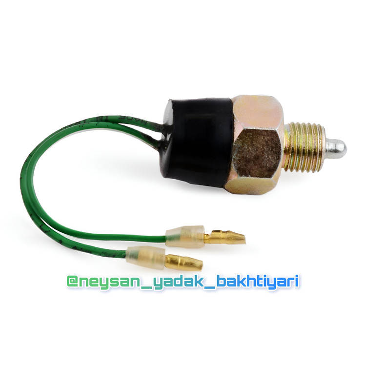 مهره دنده عقب نیسان سایپا